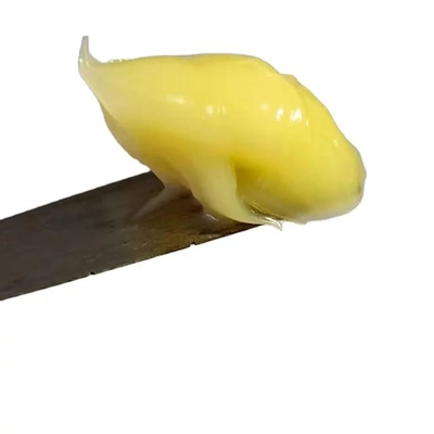 Graisse solide de calcium anhydre jaune 1000g, très vendue